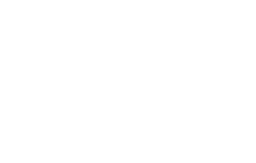 Avada Festival